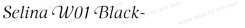 Selina W01 Black字体转换